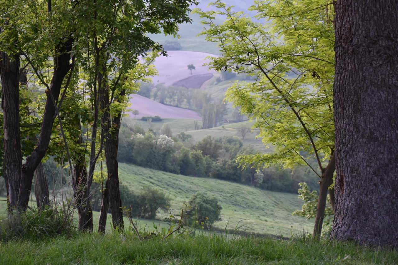Locanda Sottolaluna Viano Buitenkant foto