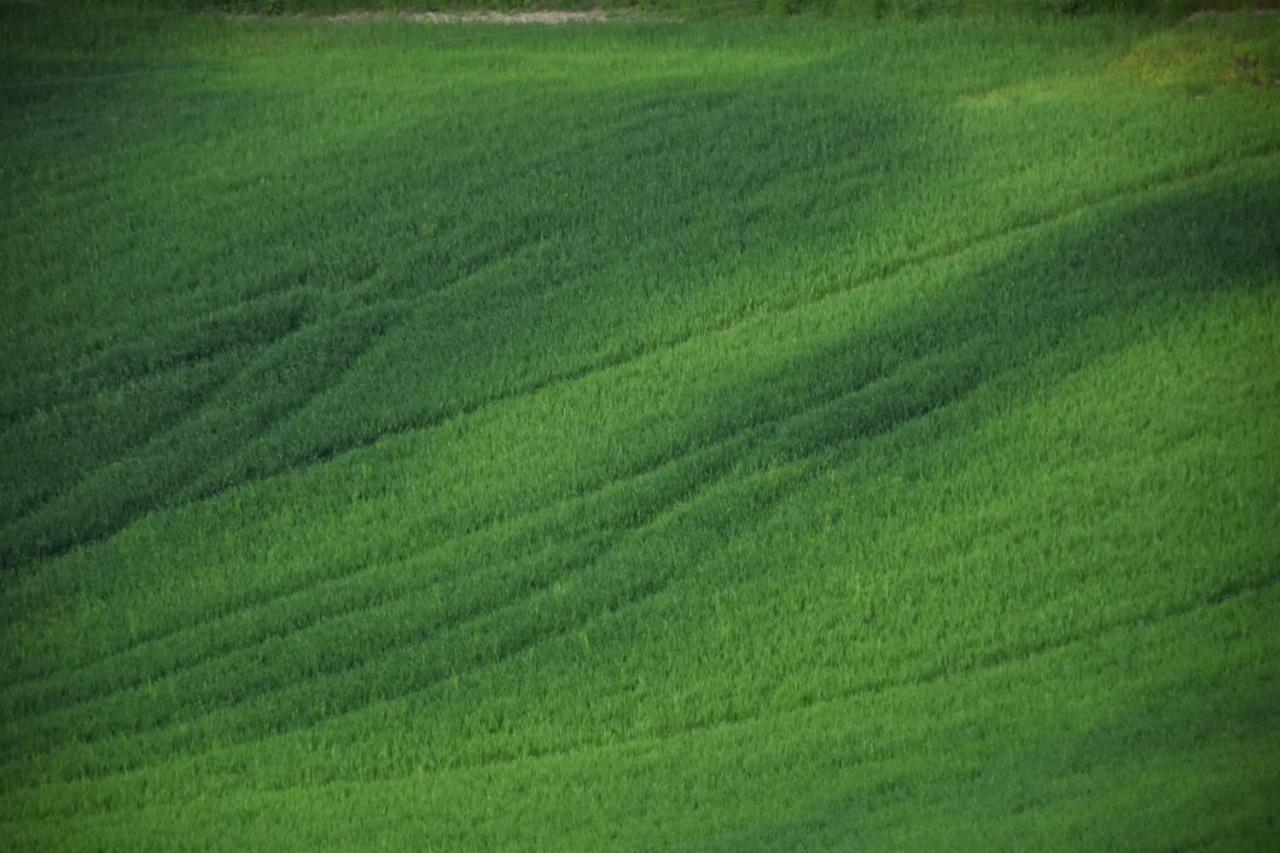 Locanda Sottolaluna Viano Buitenkant foto